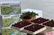 六爻八卦高速赋能产业升级：一条“杨梅路”的致富密码